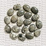 BLACK CORAL (STRINGRAY CORAL)